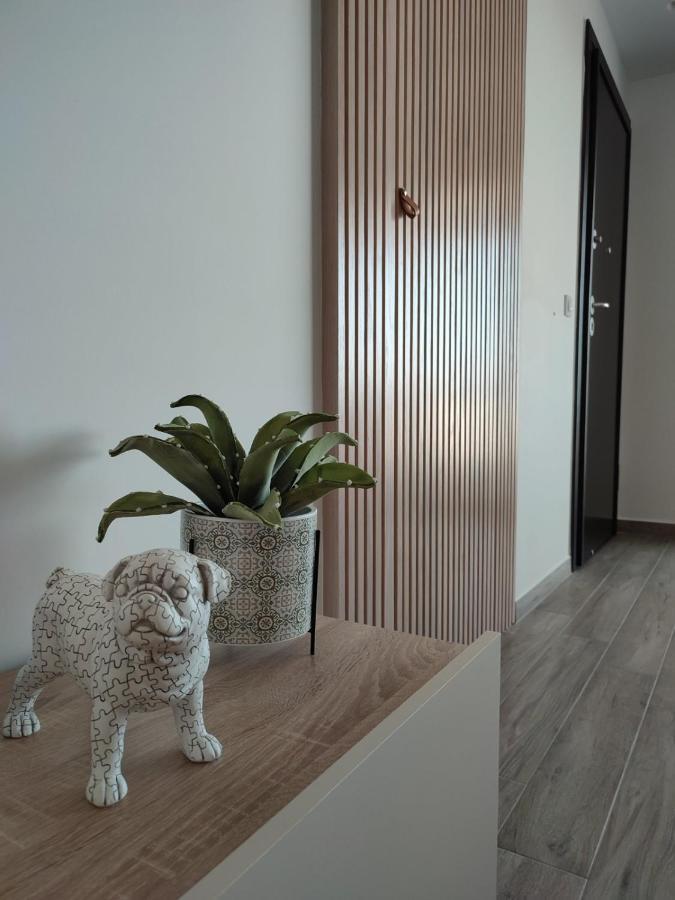 Vagiana Apartment Διαμέρισμα Κοντά Στο Αεροδρόμιο Antimachia ภายนอก รูปภาพ
